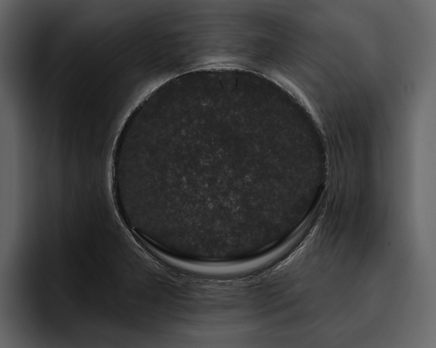 X0000095921277200801111228