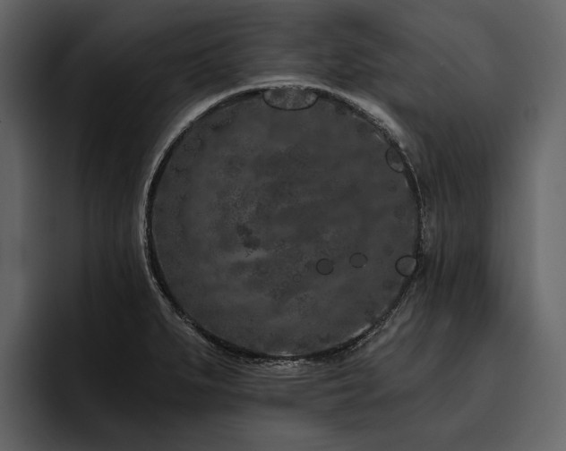 X0000095921279200801111228