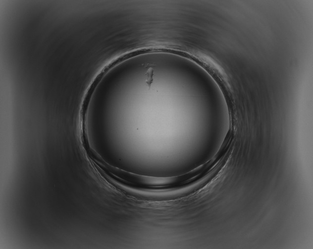 X0000095921280200801111228