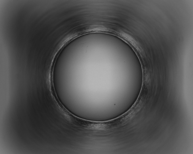 X0000095921282200801111228
