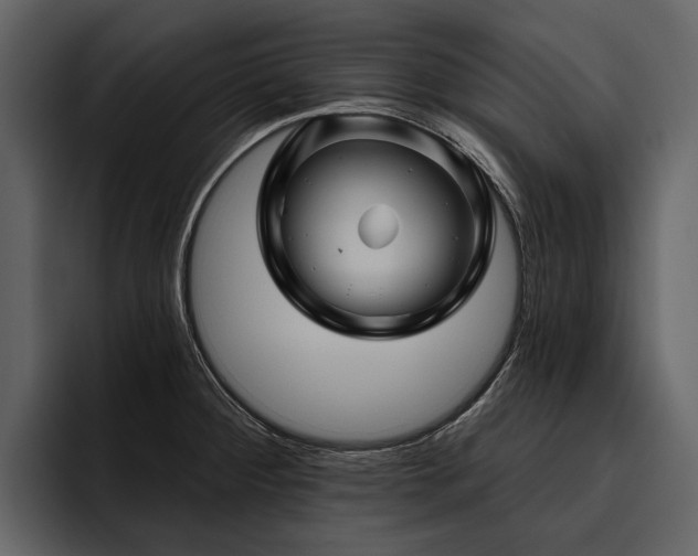X0000095921284200801111228