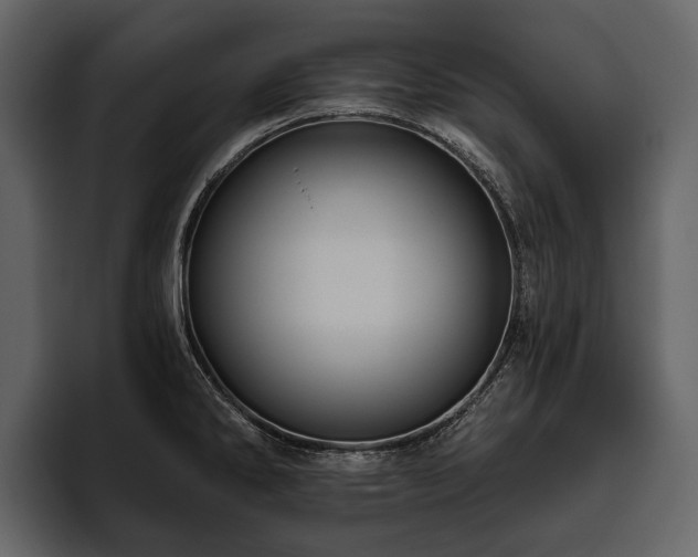 X0000095921286200801111228