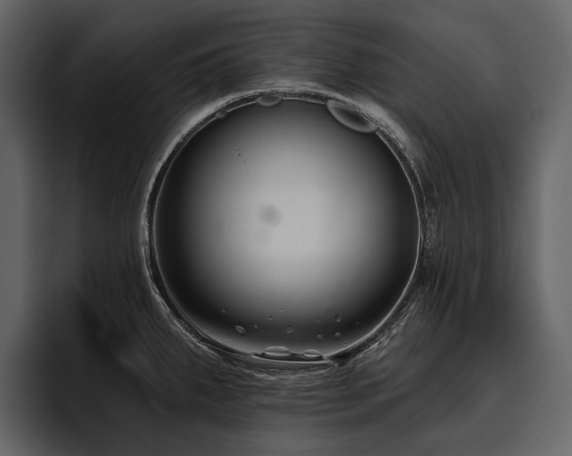 X0000095921287200801111228