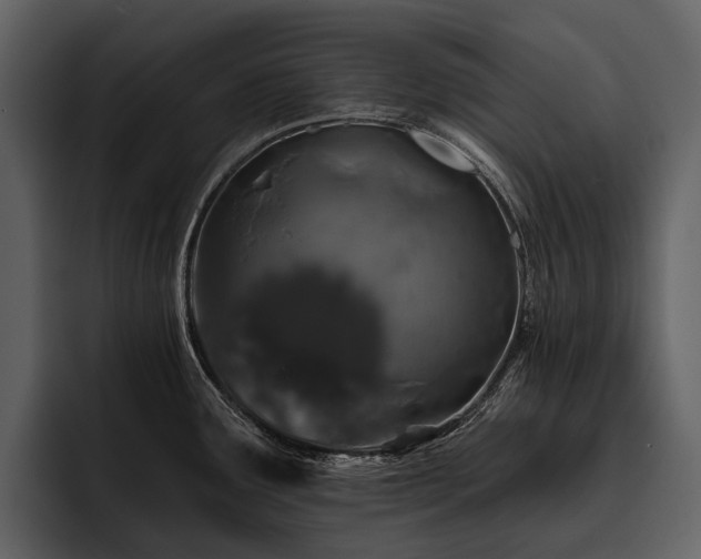 X0000095921291200801111228