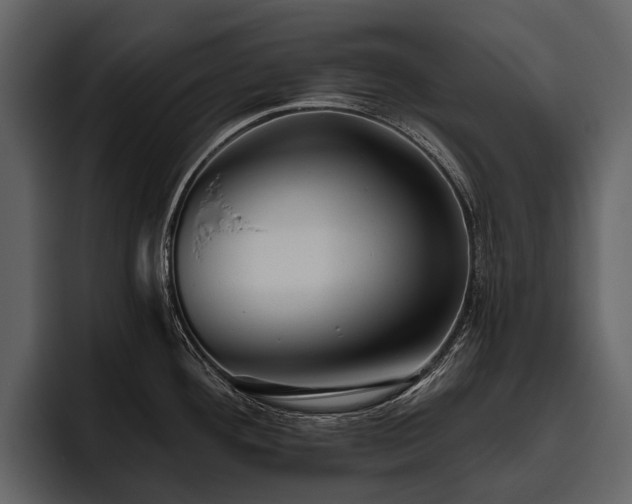 X0000095921292200801111228