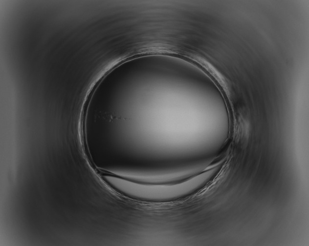 X0000095921293200801111228