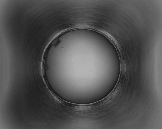 X0000095921294200801111227