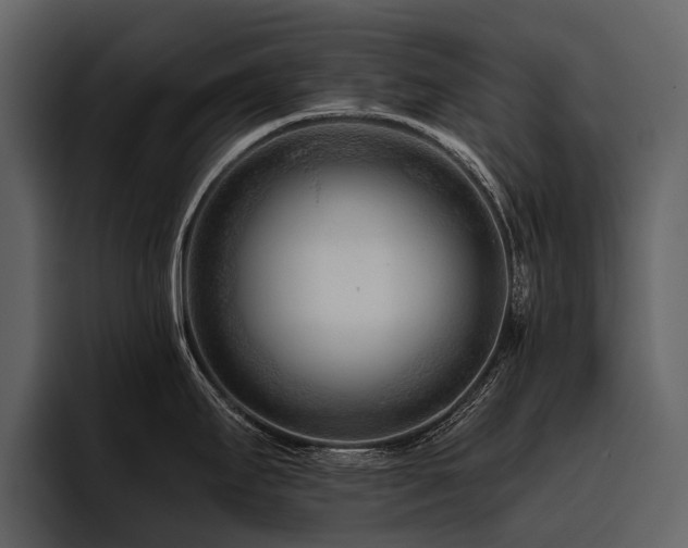 X0000095921295200801111227