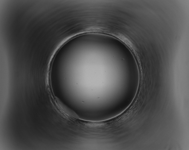 X0000095921296200801111227