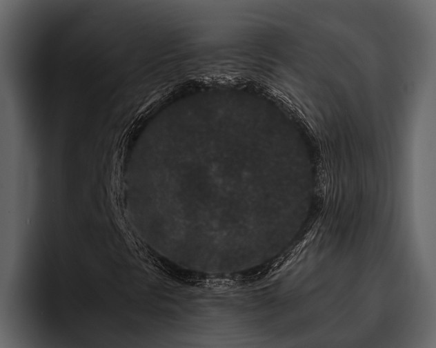 X0000095921297200801111227