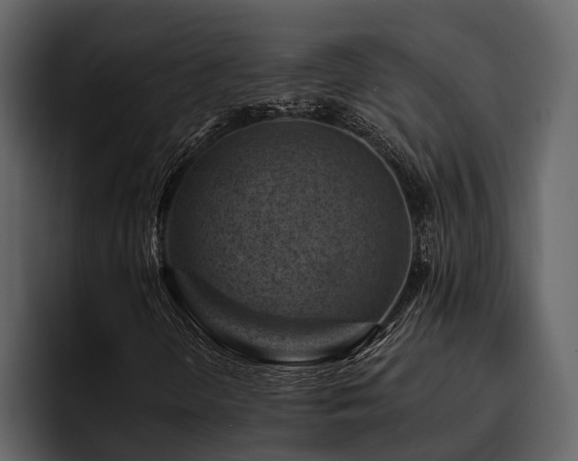 X0000095921298200801111227