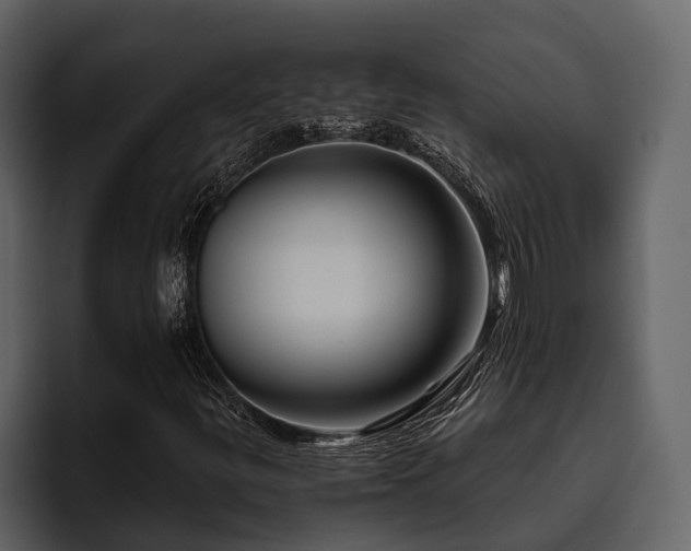 X0000095921299200801111227