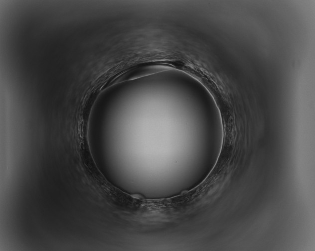 X0000095921301200801111227
