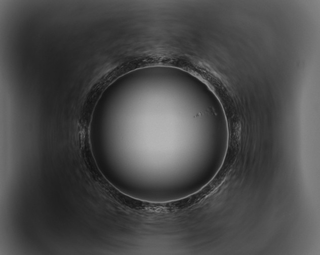 X0000095921302200801111227