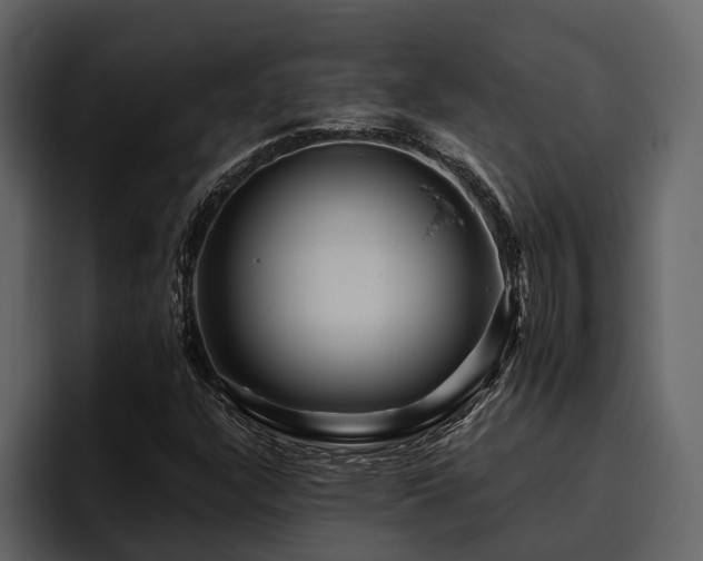 X0000095921304200801111227