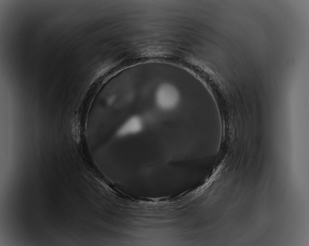 X0000095921306200801111227