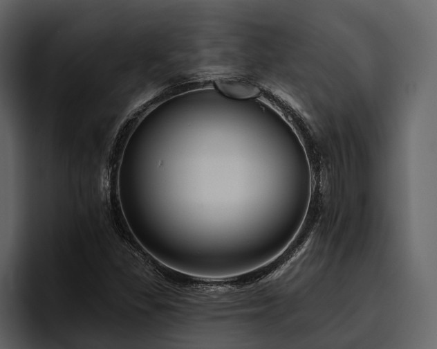 X0000095921309200801111227