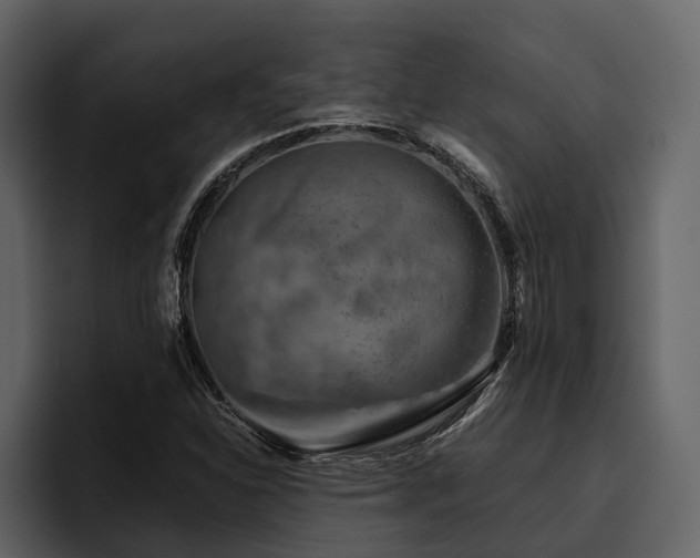 X0000095921310200801111227