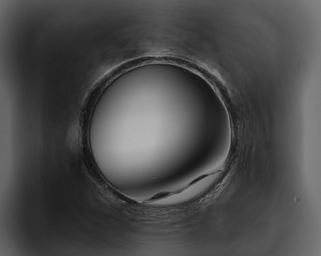 X0000095921311200801111227