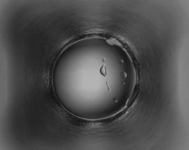 X0000095921313200801111227