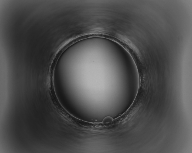 X0000095921316200801111227