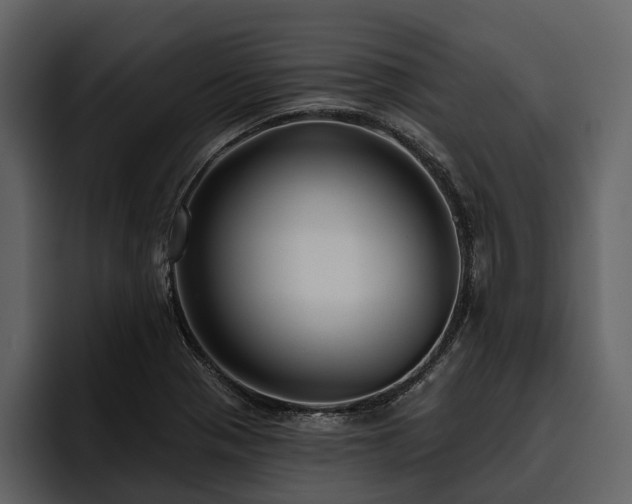 X0000095921321200801111227