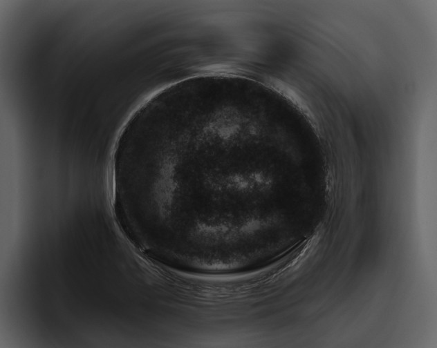 X0000095921323200801111227