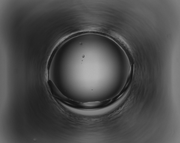 X0000095921324200801111227