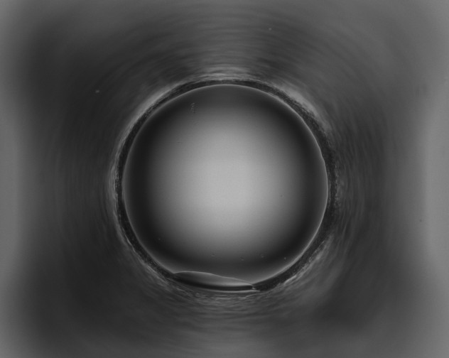 X0000095921325200801111227