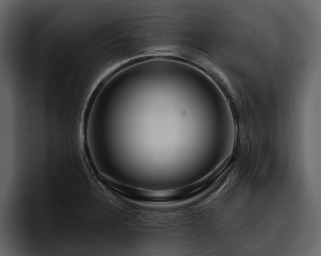X0000095921328200801111227