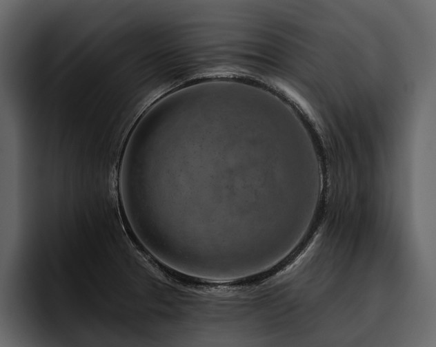 X0000095921329200801111227