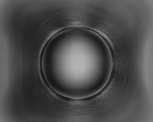 X0000095921333200801111227