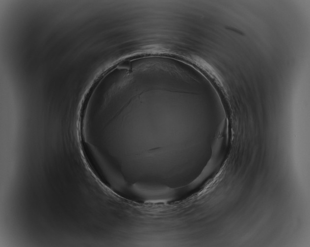 X0000095921334200801111227