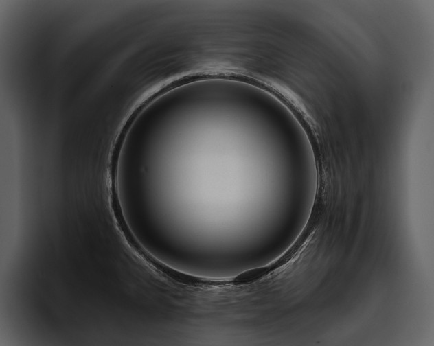 X0000095921335200801111227