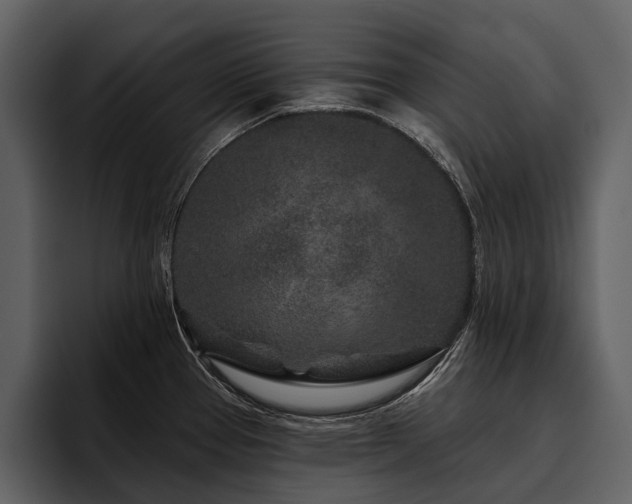 X0000095921337200801111227