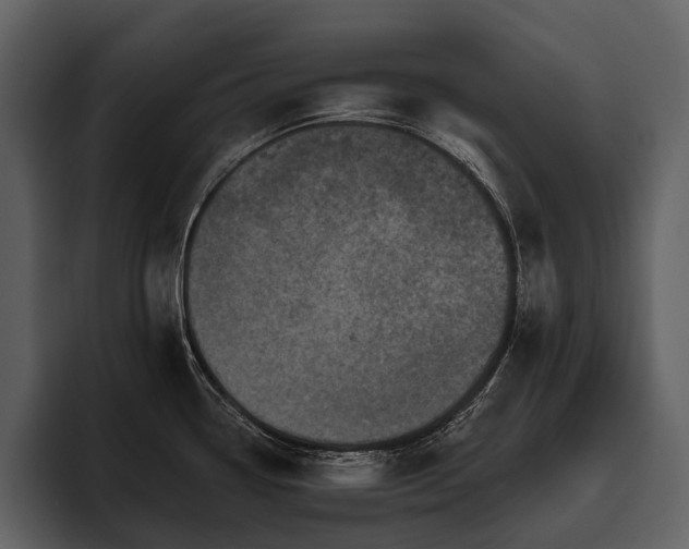 X0000095921338200801111227