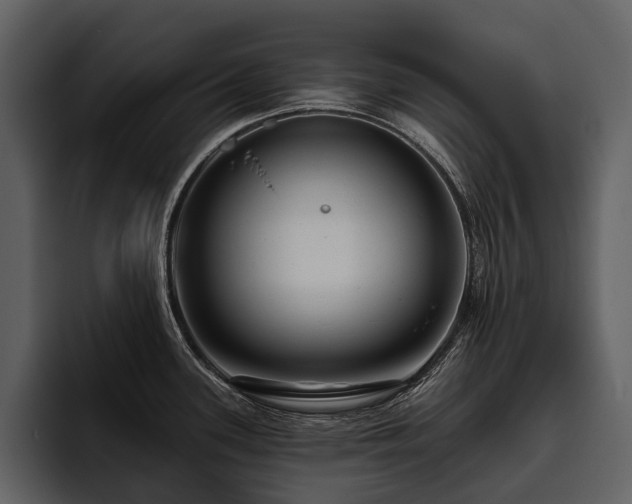X0000095921339200801111227