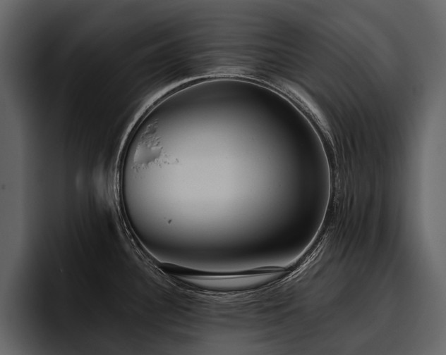 X0000095921340200801111227
