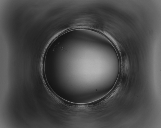 X0000095921341200801111227