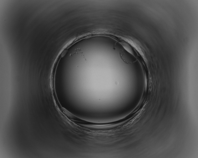 X0000095921342200801111227