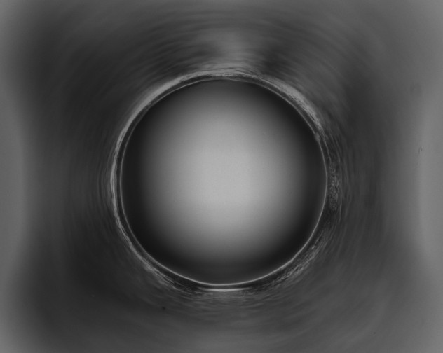 X0000095921343200801111227