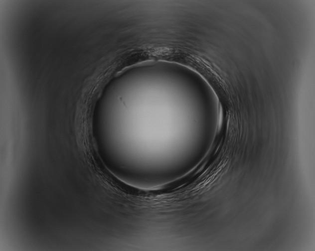 X0000095921345200801111227