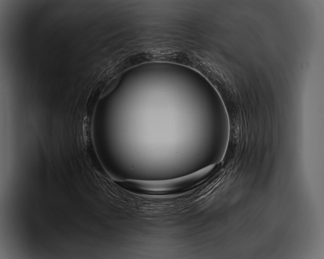 X0000095921346200801111227