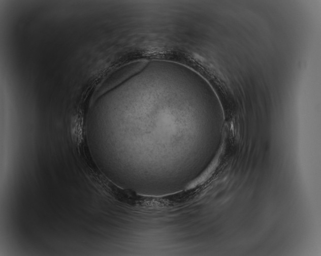 X0000095921348200801111227