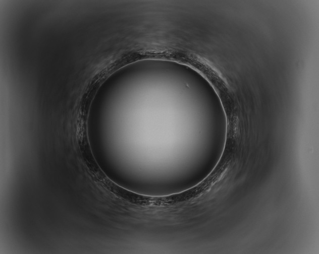 X0000095921350200801111227