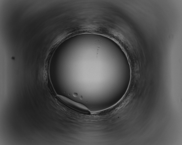 X0000095921354200801111227