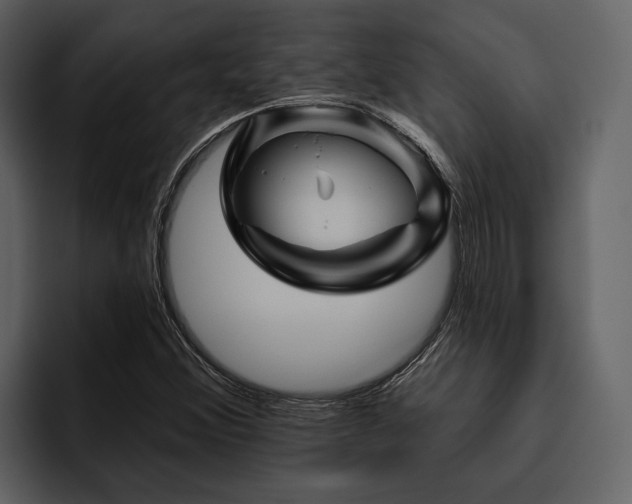 X0000095921356200801111227