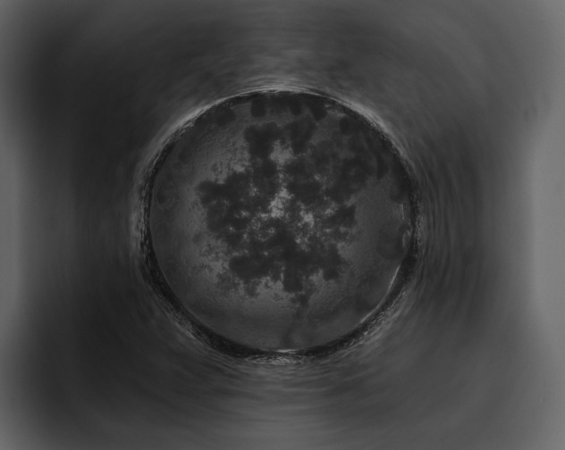 X0000095921359200801111227