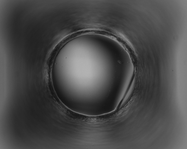 X0000095921360200801111227