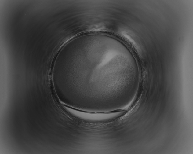 X0000095921361200801111227
